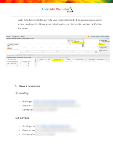 informe final cinthia calzados obten Precios de Páginas Web