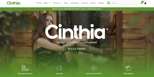 hero section pagina web cinthia calzados androidia websites